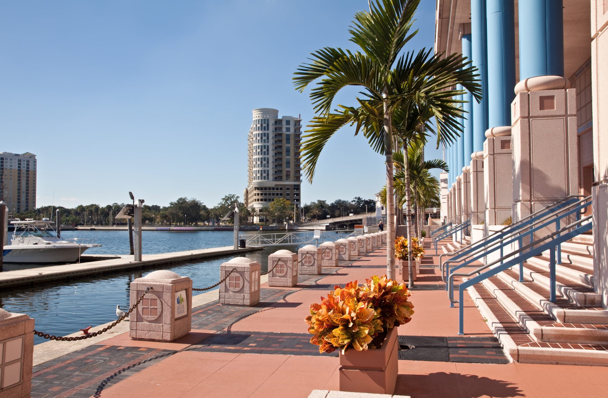 A waterfront promenade with palm trees, steps, and large potted plants captures a serene moment. Tall buildings and a docked boat are visible in the background under a clear blue sky, offering residents of Reno Living Trust both tranquility and urban convenience.