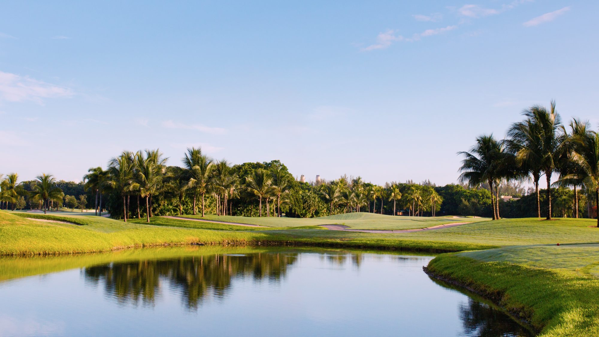 A serene golf course landscape featuring a water hazard surrounded by lush greenery and palm trees under a clear blue sky offers the perfect escape for those in Verdi seeking affordable living trust options.