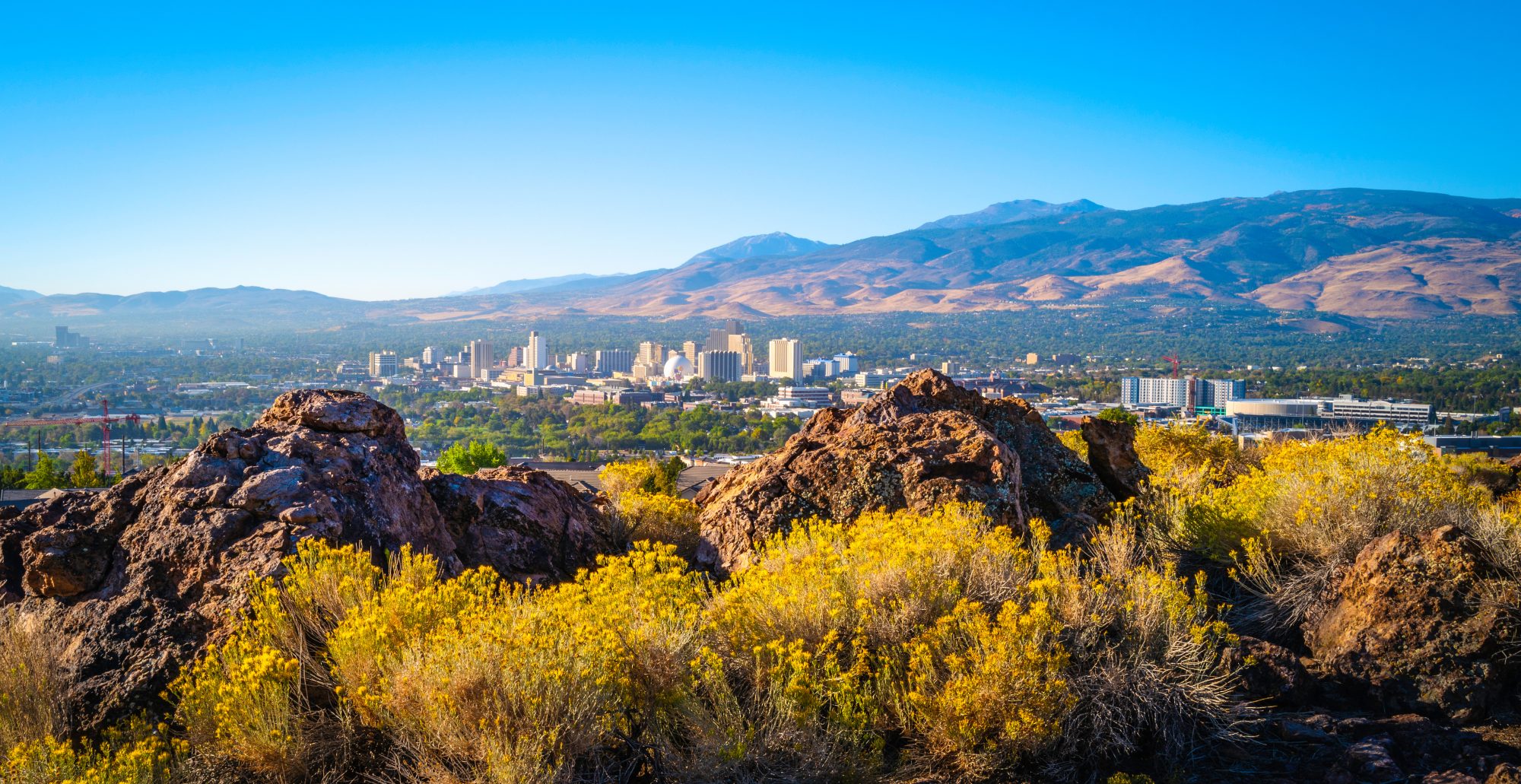 A cityscape view of Reno, Nevada, featuring its skyline against a backdrop of mountains, with rocky terrain and yellow wildflowers in the foreground under a clear blue sky. Consider estate planning in Carson City for peace of mind while enjoying stunning vistas like these.